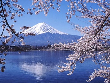 元画像: 桜の枝ごしに、雪をかぶった富士山と湖が見えている写真